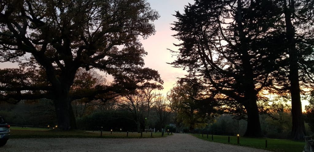 The Pig, Restaurant and Hotel, The New Forest, Brockenhurst, Hampshire