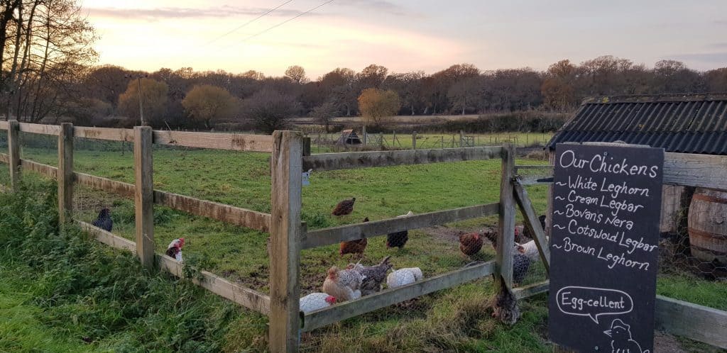 The Pig, Restaurant and Hotel, The New Forest, Brockenhurst, Hampshire